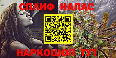 гашик Изобильный