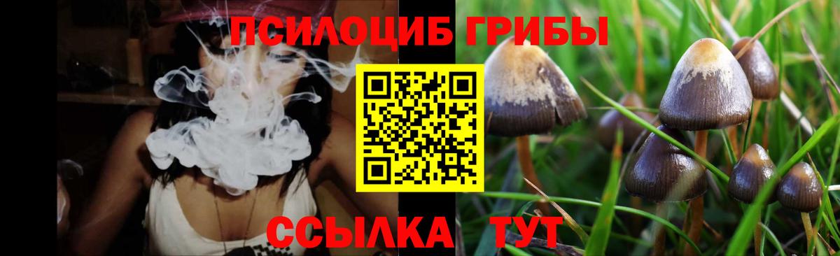 Псилоцибиновые грибы мицелий Кыштым