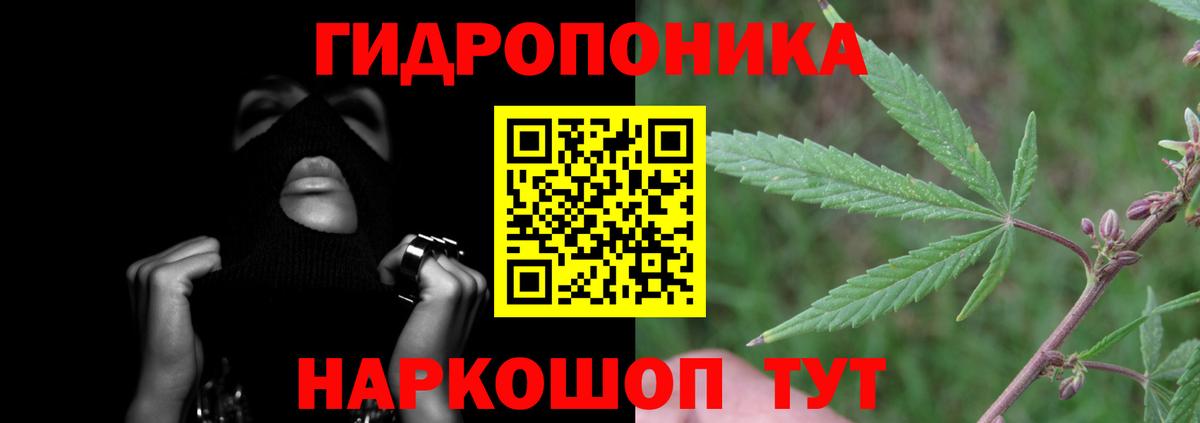 Конопля конопля  Каннабис VHQ  Марихуана Ganja  Кыштым  Вход с VPN 